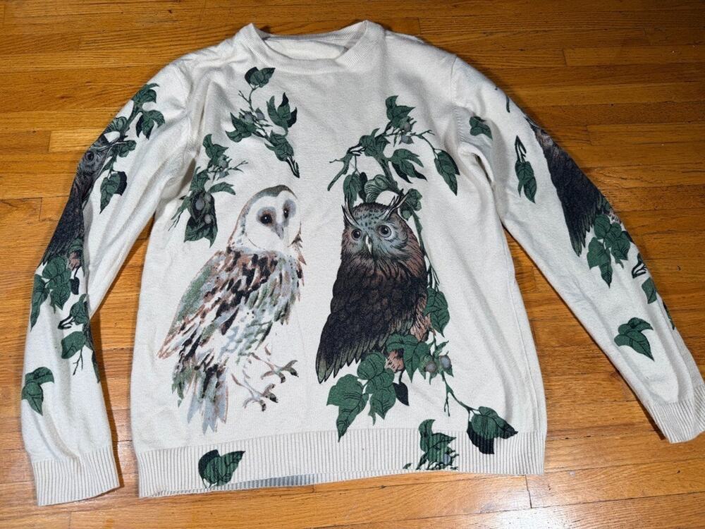 Owl Graphic Sweater Approx Women XL Men Large White Woodland Bird Pullover